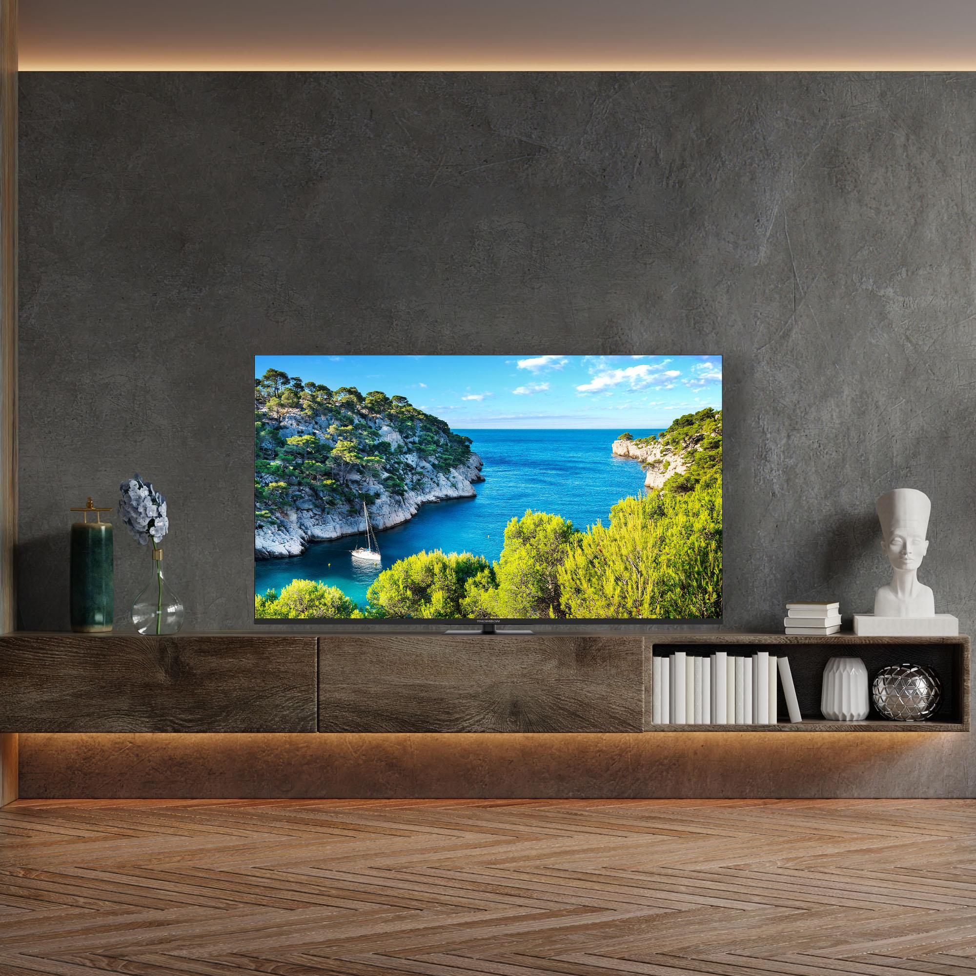 TV Set THOMSON 65" 4K/Smart 3840x2160 Wireless LAN Bluetooth Google TV Black 65UG5C14