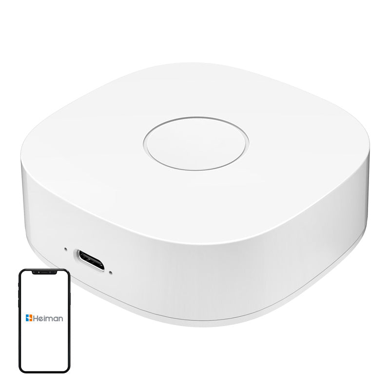 Smart home WS2GW-R WiFi - Image 1