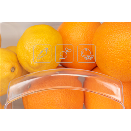 ETA Refrigerator | ETA174490000E | Energy efficiency class E | Free standing | Double Door | Height 123 cm | Fridge net