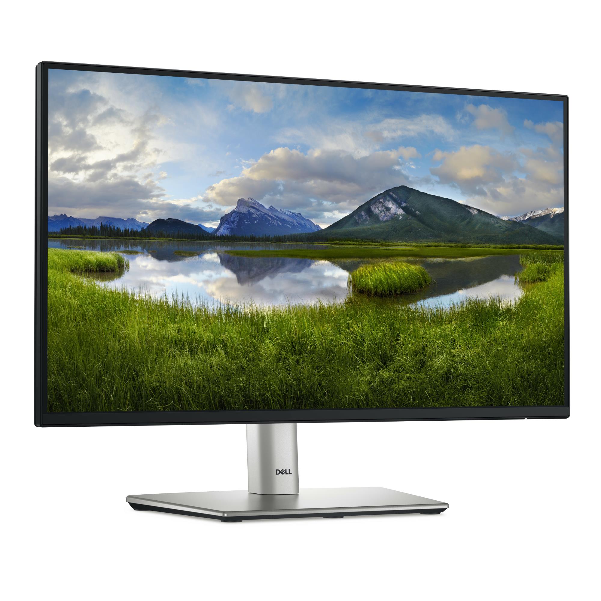 LCD Monitor DELL P2225H 21.5" Business Panel IPS 1920x1080 16:9 100 Hz Speakers Swivel Pivot Height adjustable Tilt 210-BMHD