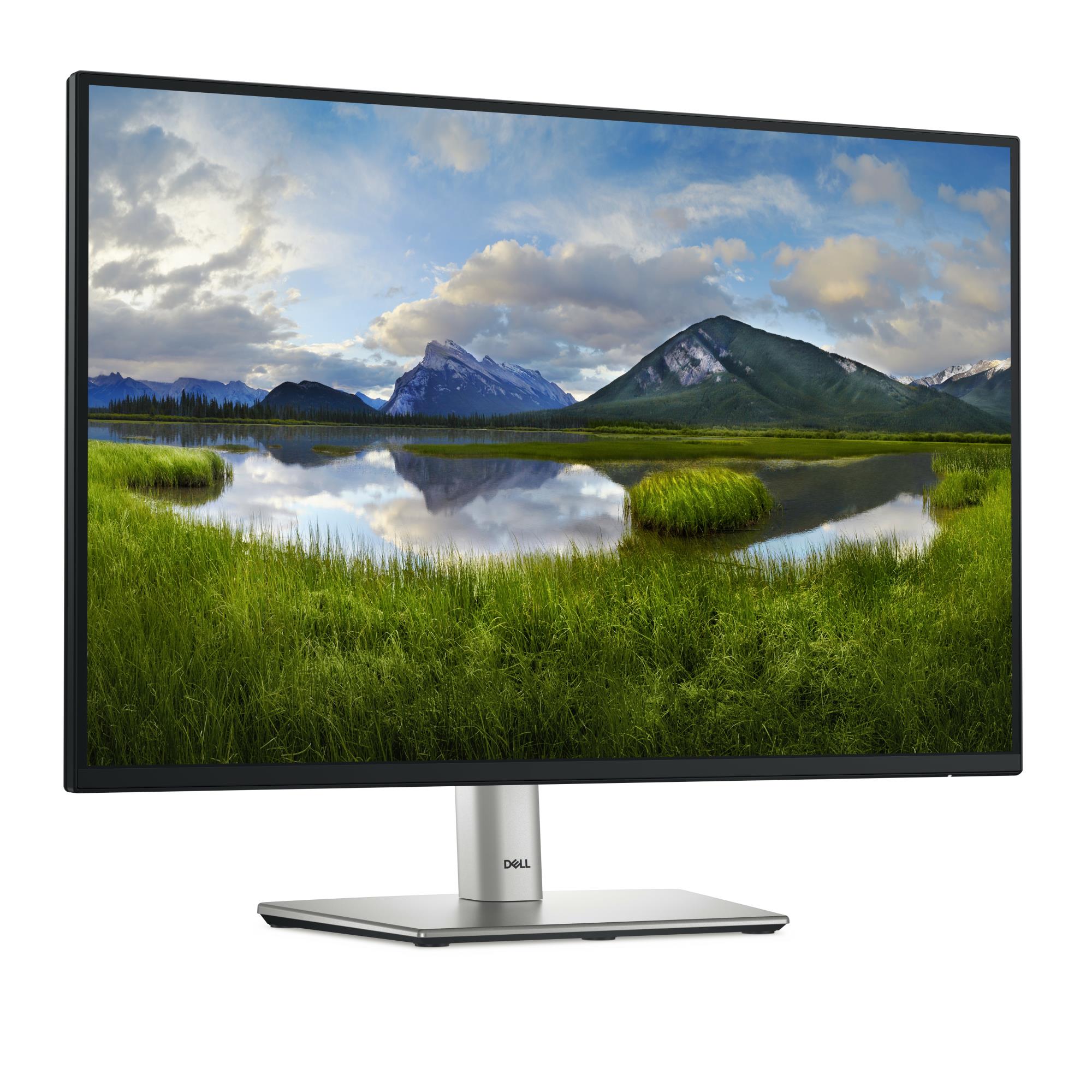 LCD Monitor DELL P2425 24" Business Panel IPS 1920x1200 16:10 100Hz Matte 8 ms Swivel Pivot Height adjustable Tilt 210-BMJD