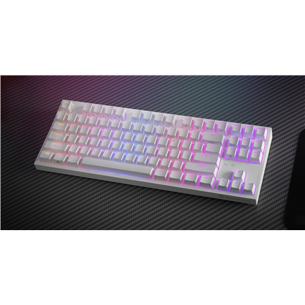 Genesis | THOR 404 TKL | Mechanical Gaming Keyboard | Wired | US | Gateron Yellow Pro | White | RGB