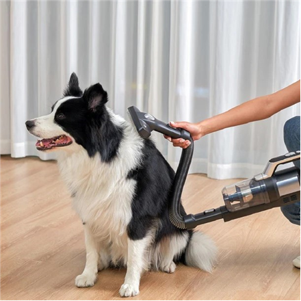 Jimmy | Pet Brush/Flexible Hose for PW11 and HW11 series