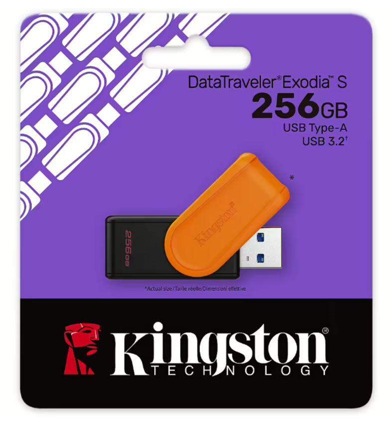 MEMORY DRIVE FLASH USB3.2/256GB DTXS/256GB KINGSTON