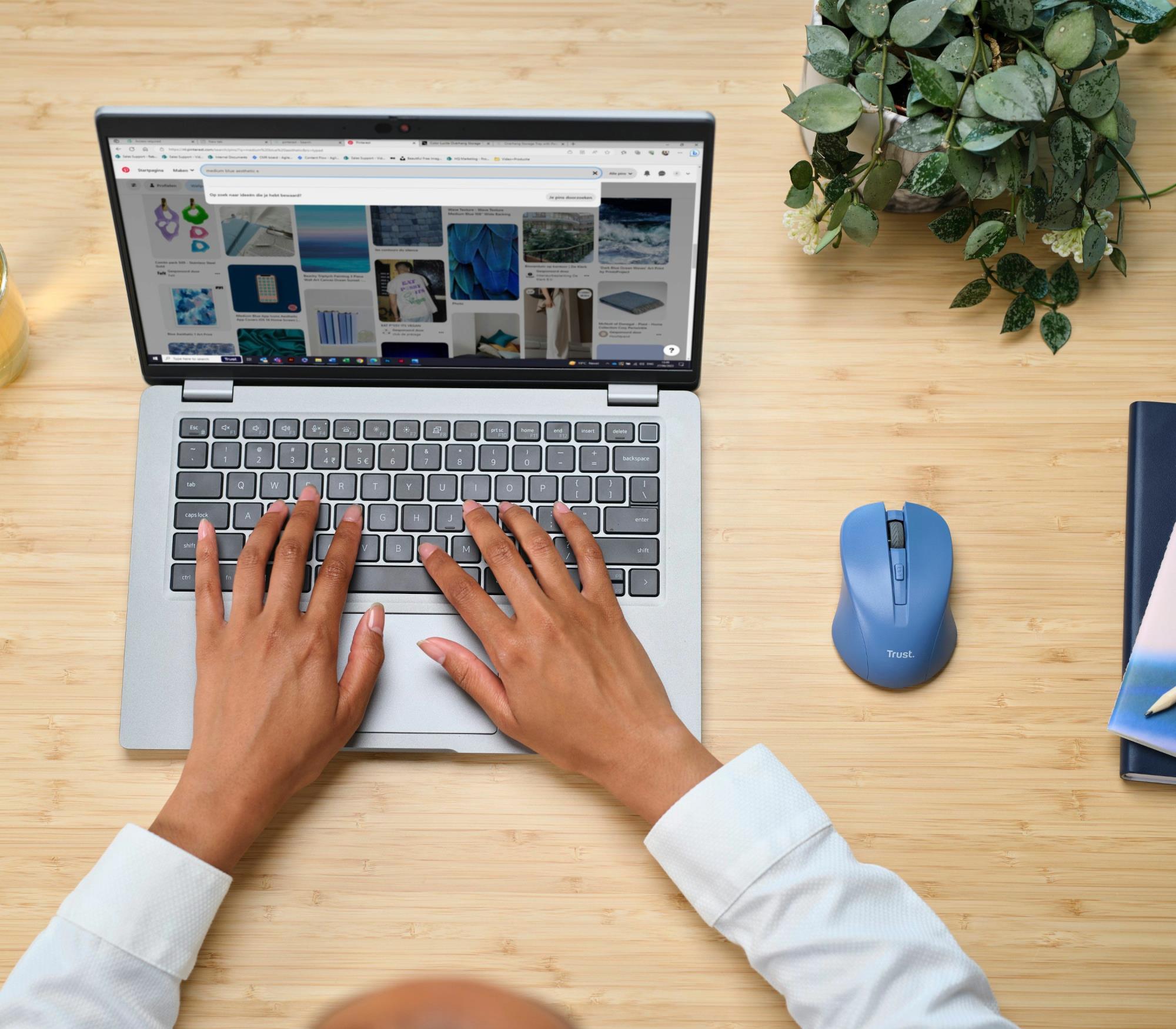 MOUSE USB OPTICAL WRL BLUE/MYDO 25041 TRUST