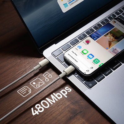 Baseus Tungsten Gold USB-C / USB-C 100W 2m cable - gold
