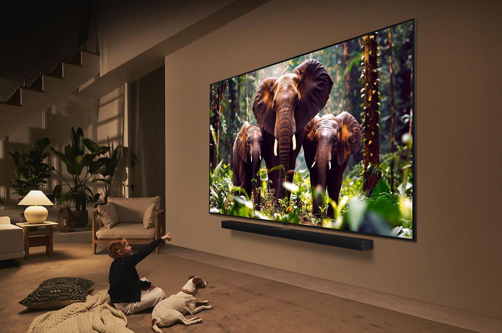 TV Set LG 55" 4K/Smart 3840x2160 Wireless LAN Bluetooth webOS 55QNED87A3B