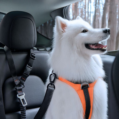 Spigen PS100 Universal Pet Seat Belt - Black