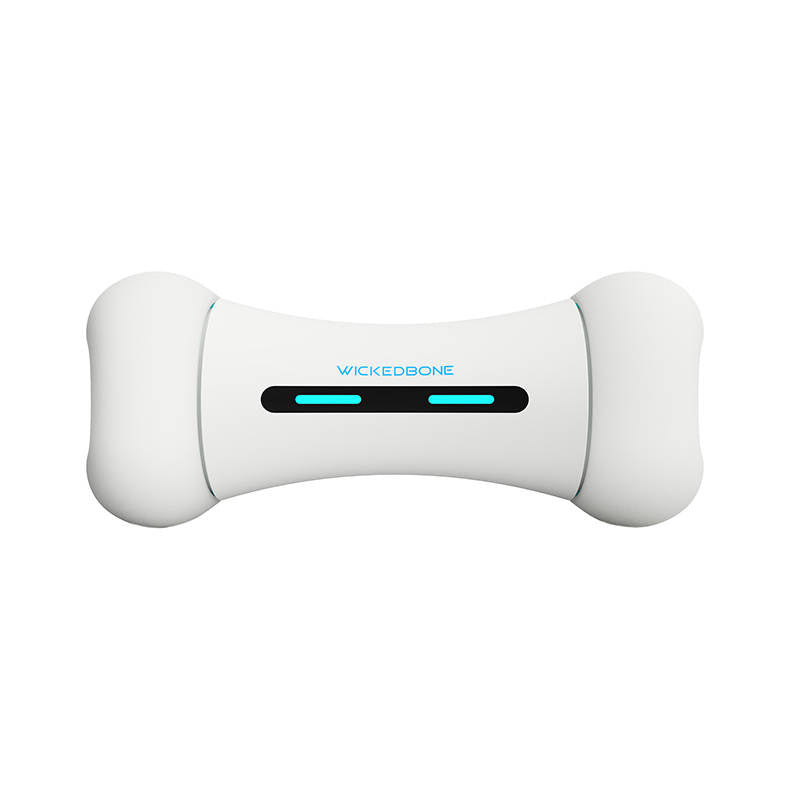 Interactive Dog Toy Cheerble Wickedbone - Product Image 3