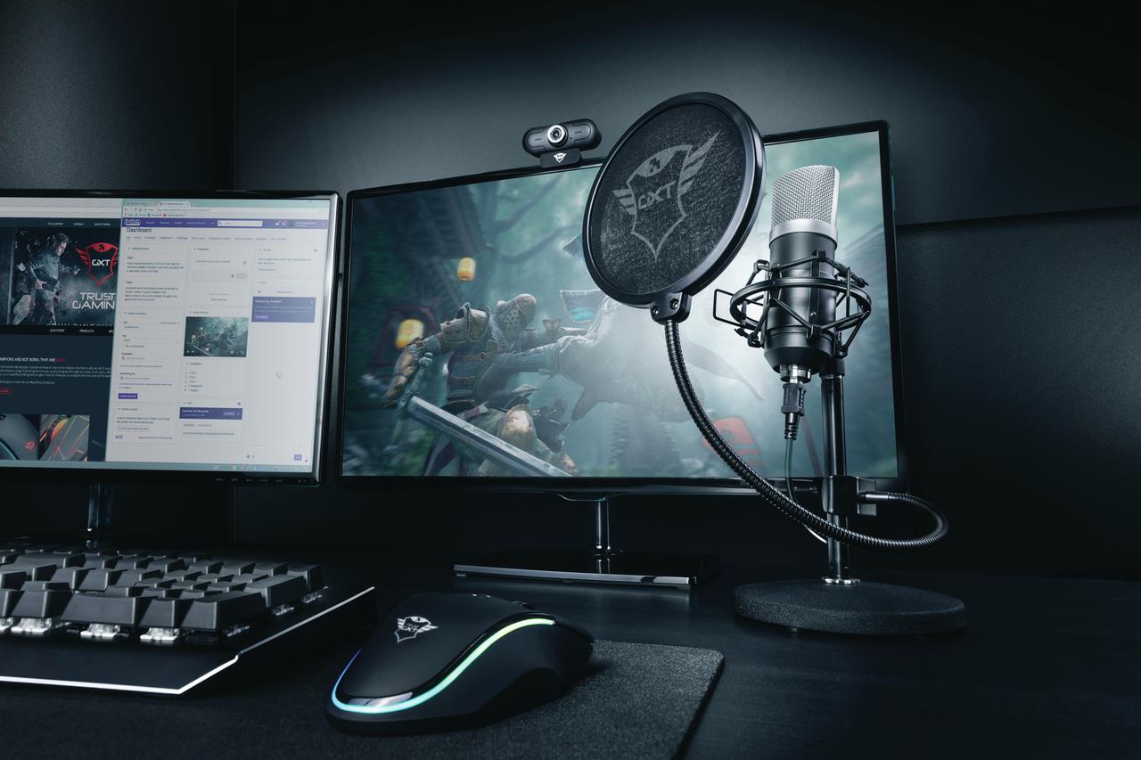 MICROPHONE GXT 252 EMITA/21753 TRUST