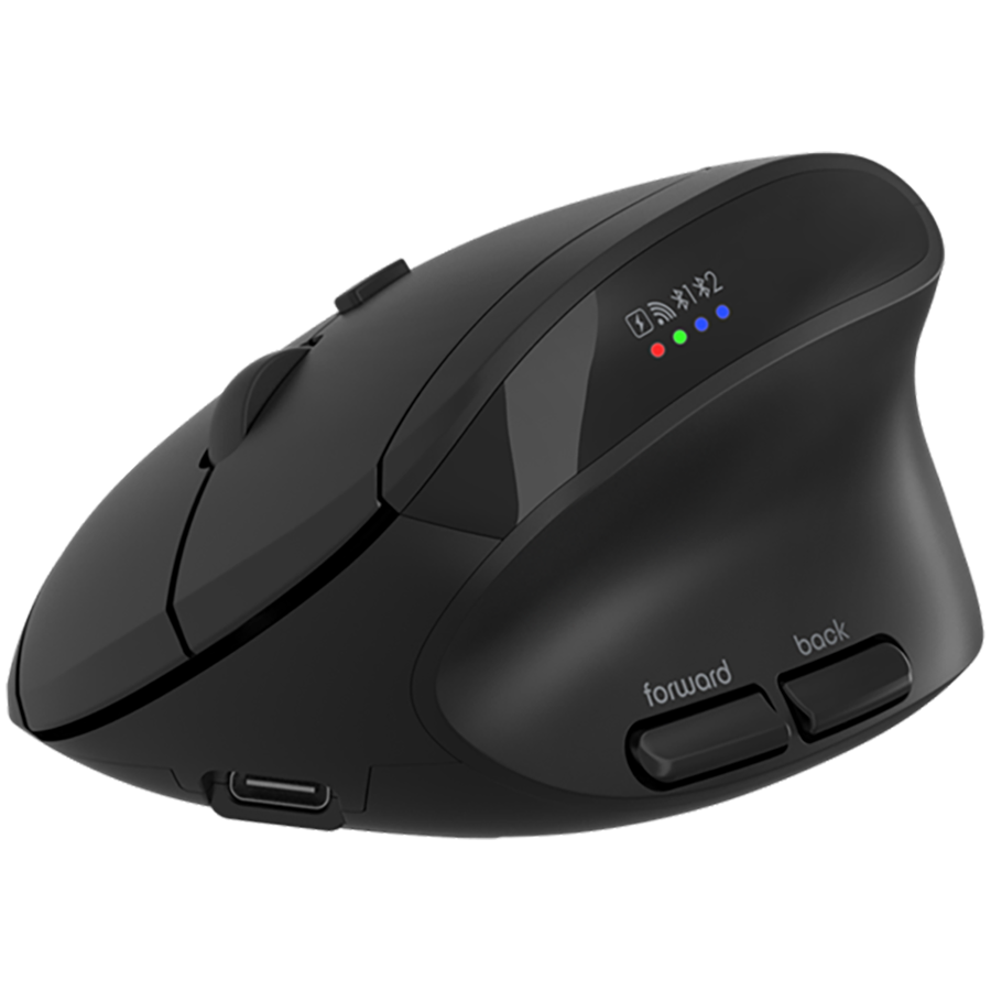 CANYON mouse MW-25 Ergonomic LED AA Dual mode Wireless Black