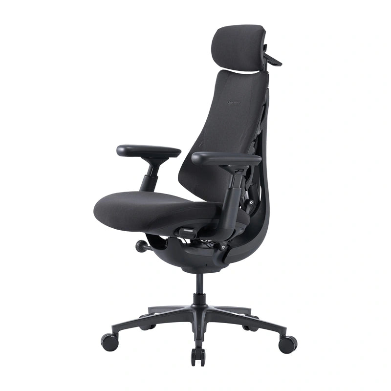 LiberNovo Omni Pro 45 cm Ergonomic Chair (Graphite) - Image 1