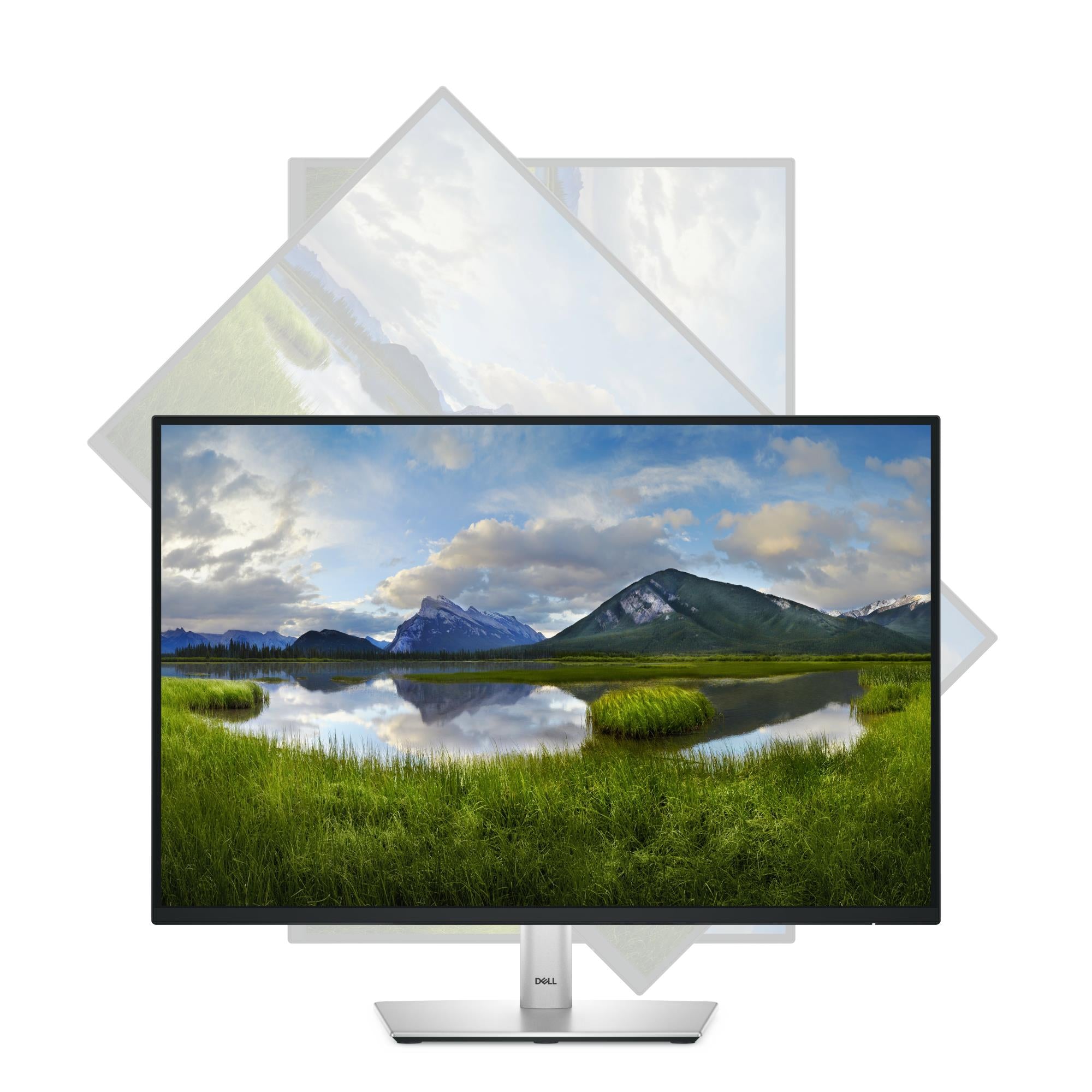 LCD Monitor DELL P2425 24" Business Panel IPS 1920x1200 16:10 100Hz Matte 8 ms Swivel Pivot Height adjustable Tilt 210-BMJD