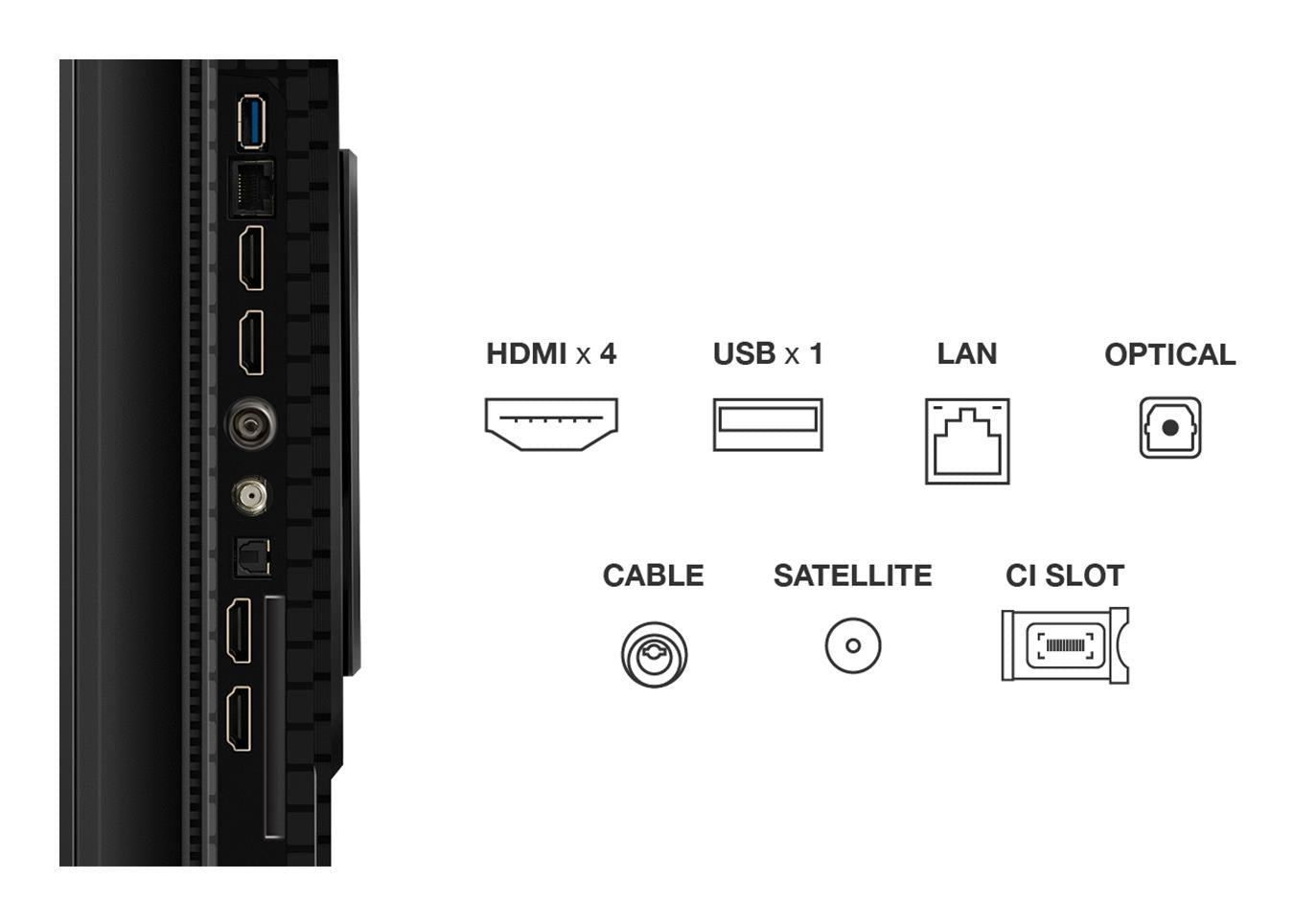 TV Set TCL 65 " 4K Ultra HD 3840 x 2160 pixels Flat 16:9 QLED 65P8K