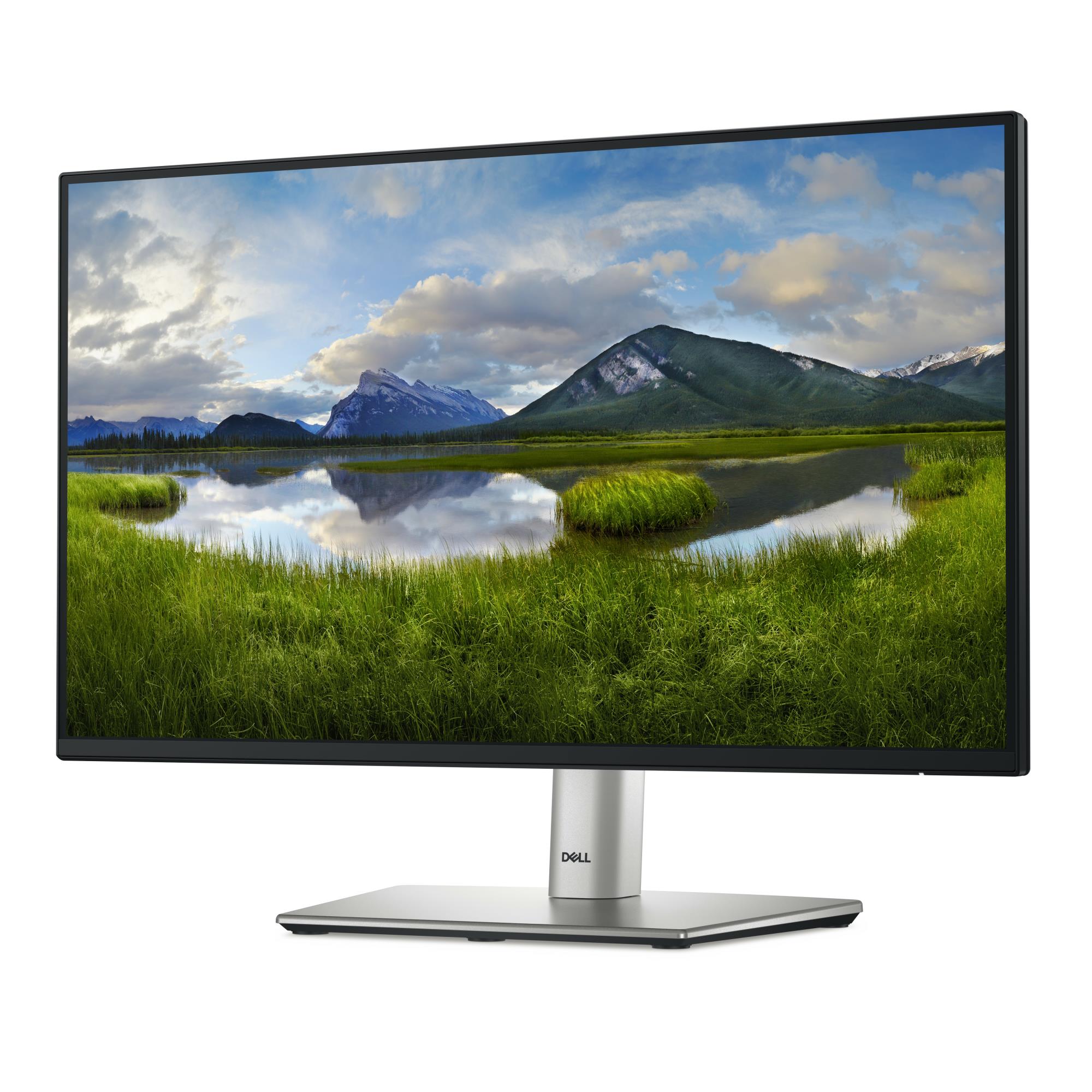 LCD Monitor DELL P2225H 21.5" Business Panel IPS 1920x1080 16:9 100 Hz Speakers Swivel Pivot Height adjustable Tilt 210-BMHD