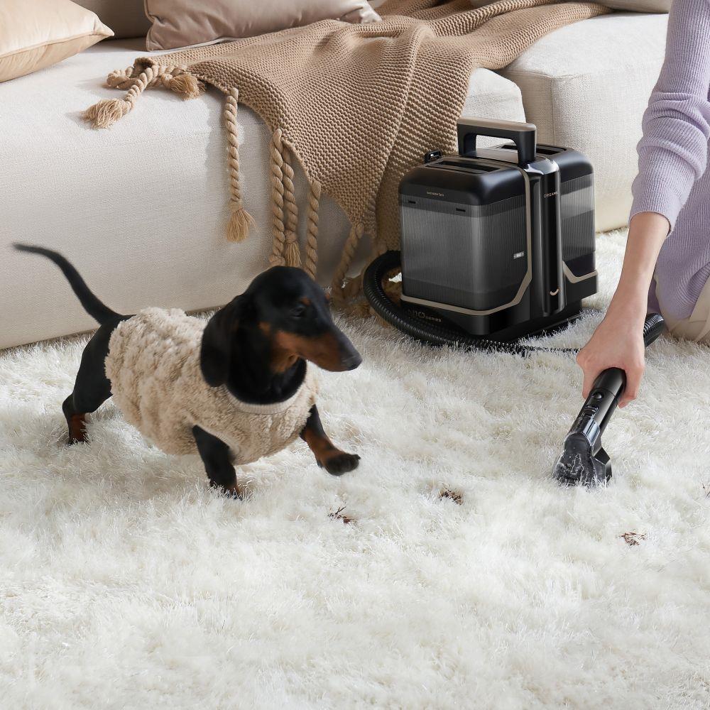 Vacuum Cleaner DREAME N10 450 Watts Weight 4.3 kg N10