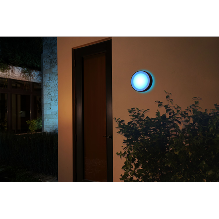 Philips Hue WCA Daylo Outdoor Wall Lantern, Black | 15 W | 2000-6500 Hue White Colour Ambiance