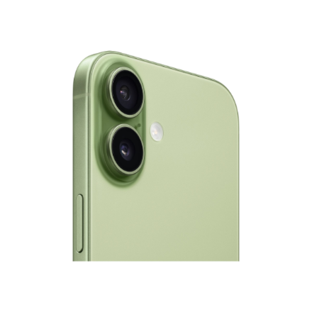 Apple | iPhone 17 | Sage | 6.3 " | 2622 x 1206 pixels | OLED | A19 | Internal RAM 8 GB | 256 GB | Dual SIM | Nano SIM | 5G | Main camera resolution 48 MP | iOS 26 | Secondary camera resolution 48 MP