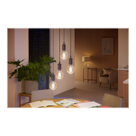 Hue WA 7W Filament G93 globe E27 | E27 | 7 W | Warm to cool white 2200-4500K | Bluetooth and Zigbee