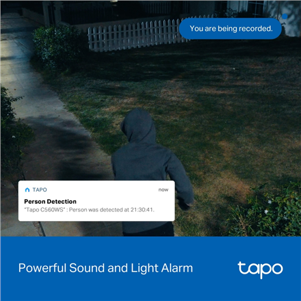 TP-LINK Pan/Tilt Security Wi-Fi Camera | Tapo C560WS | Dome | 8 MP | 4mm/F1.6 | H.264 | Micro SD, Max. 512 GB