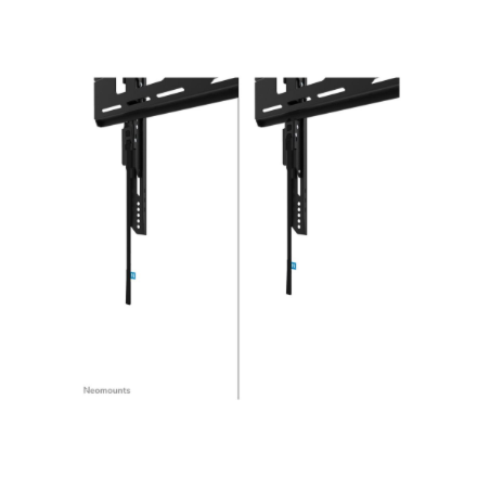 Neomounts Wall mount | WL30-750BL14 Heavy duty wall mount | Adjustable Height | 32-75 " | Maximum weight (capacity) 100 kg | Black