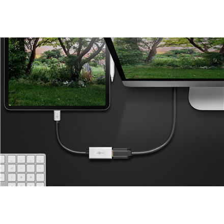 Goobay USB-C Adapter to HDMI | 60194