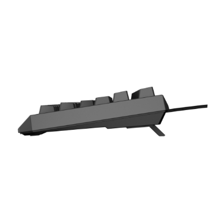 Genesis | THOR 230 TKL | Mechanical Gaming Keyboard | Wired | US | Linear | Black | RGB