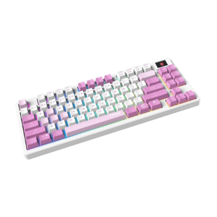 MSI FORGE GK600 TKL WIRELESS VIOLET | Gaming keyboard | Wireless | US | Mechanical Linear