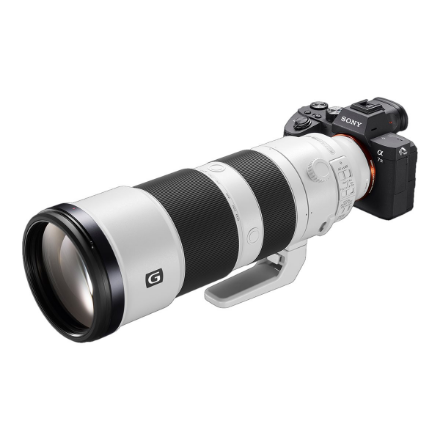 Sony | FE 200-600mm F5.6-6.3 | Sony E-mount
