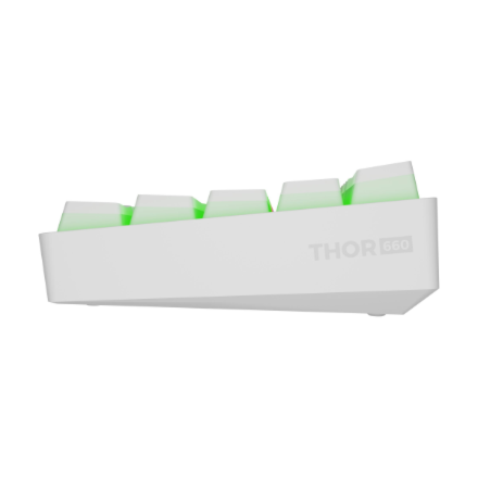 Genesis | THOR 660 G2 | Gaming Keyboard | Wireless/Wired | US | Linear | White | RGB