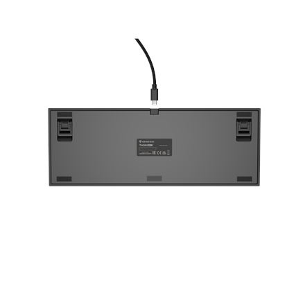 Genesis | THOR 404 TKL | Mechanical Gaming Keyboard | Wired | US | Kailh Box Brown V2 | Black | RGB