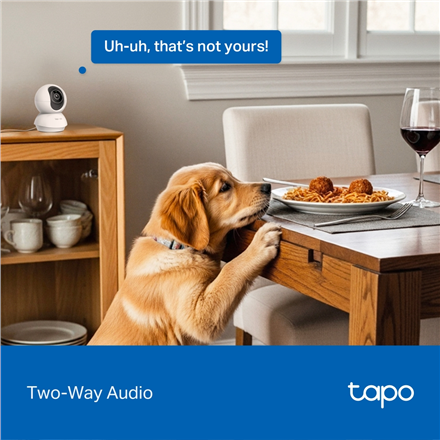 TP-LINK Tapo C250 | Pan/Tilt AI Home Security Wi-Fi Camera | PTZ | 8 MP | 4mm/F1.6 | H.265 | MicroSD Card up to 512 GB