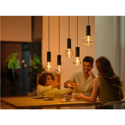 Philips Hue WCA Lightguide G95 | E27 | 6.8 W | White and colour light