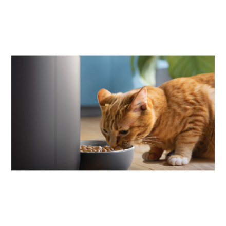 Philips Smart Feeder with Camera | PAW5320/02 5000 Series