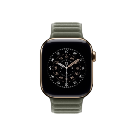 Apple 42mm Sage Gray Magnetic Link - S/M | Apple