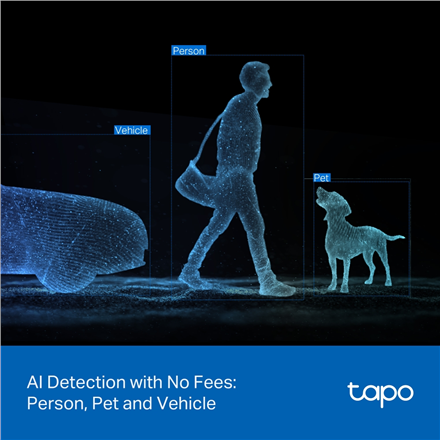 TP-LINK | Dual Lens Security Wi-Fi Camera | Tapo C545D | Dome | 3 MP | 6mm | IP66 | H.264 | MicroSD, up to 512 GB