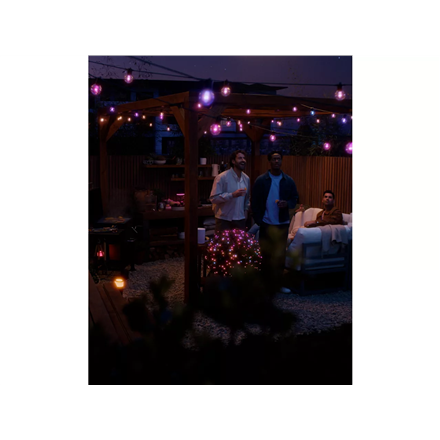 Philips Hue Hue Festavia Globe Outdoor String Lights, 14m Extension | 30 W