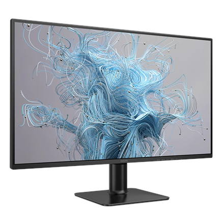 Philips | 27E2N2500/00 | 27 " | IPS | Quad HD | 16:9 | 120 Hz | 4 ms | 2560 x 1440 pixels | 300 cd/m² | HDMI ports quantity 1 | Black
