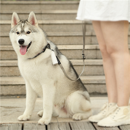 PETKIT | Dog Waste Dispenser Set | Bags: 30x22 cm, Dispenser: 14/8.2 cm x 3.8 cm