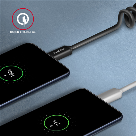 AXAGON | Data and charging cable, 1.1 m | BUCM-CM20TB | USB Type C to USB Type C