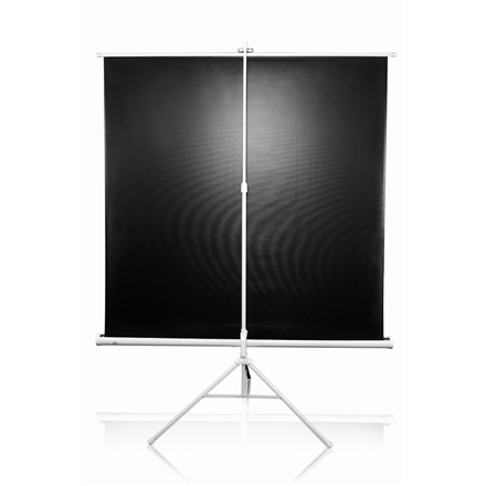 Elite Screens | Tripod Series | T113NWS1 | Diagonal 113 " | 1:1 | Viewable screen width (W) 203 cm | White