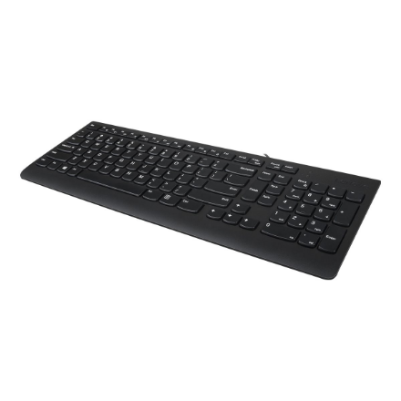 Lenovo | USB Keyboard | 300 | Wired keyboard | Wired | EN | Black