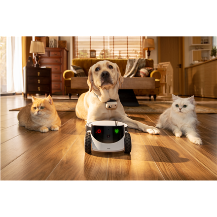 Enabot | Family Robot IP Camera | ROLA PetPal