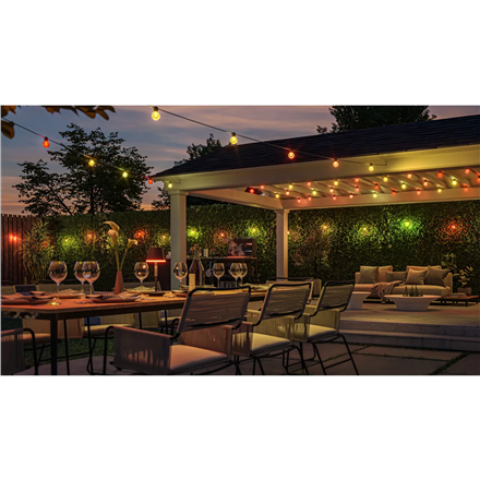 Philips Hue Festavia Globe String Lights for Outdoor Use, 14 m | 30 W | Bluetooth, Zigbee