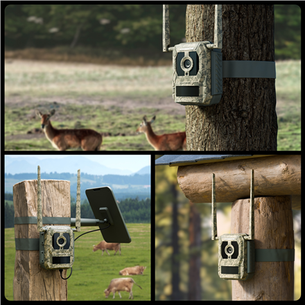 Reolink | 4K 4G Cellular Trail Camera with Live Streaming | Talon Series S130 | Trail | 8 MP | 4mm/F1.6 | IP67 | H.265 | MicroSD Card, up to 256 GB