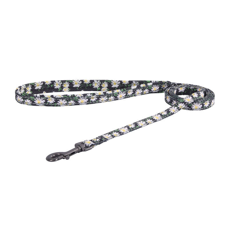 Dogness walking set leash 1,5m+harness for dog (multicolor) - Product Image 3