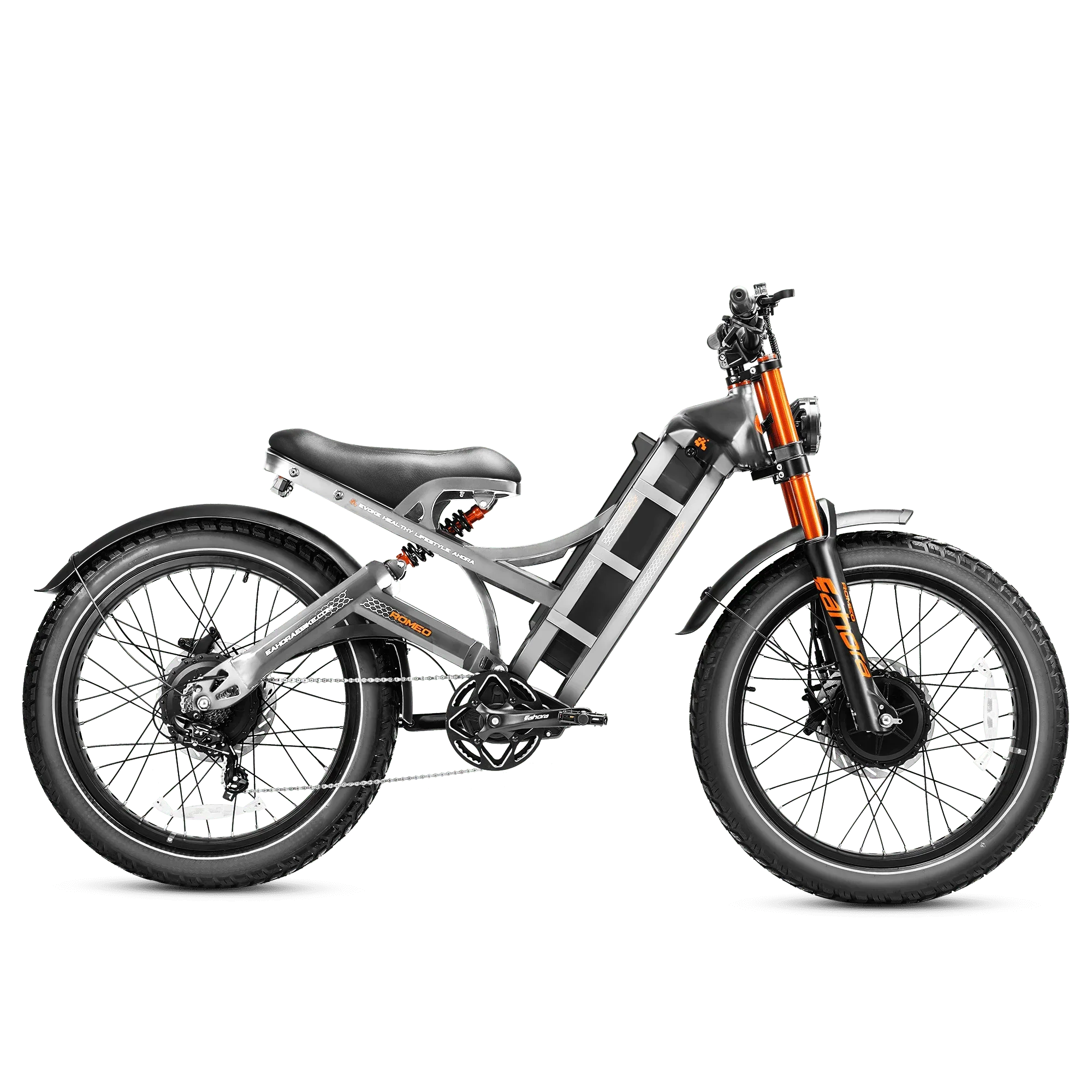 Eahora Romeo Pro II electric bike Grey