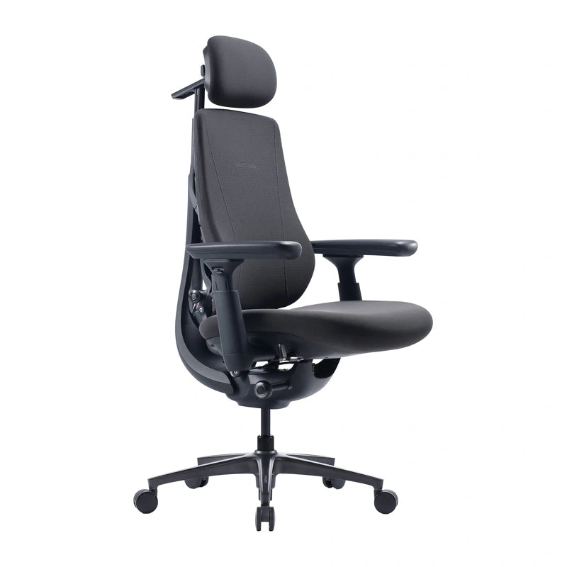 Dynamic Ergonomic Chair LiberNovo Maxis (Graphite) - Image 1