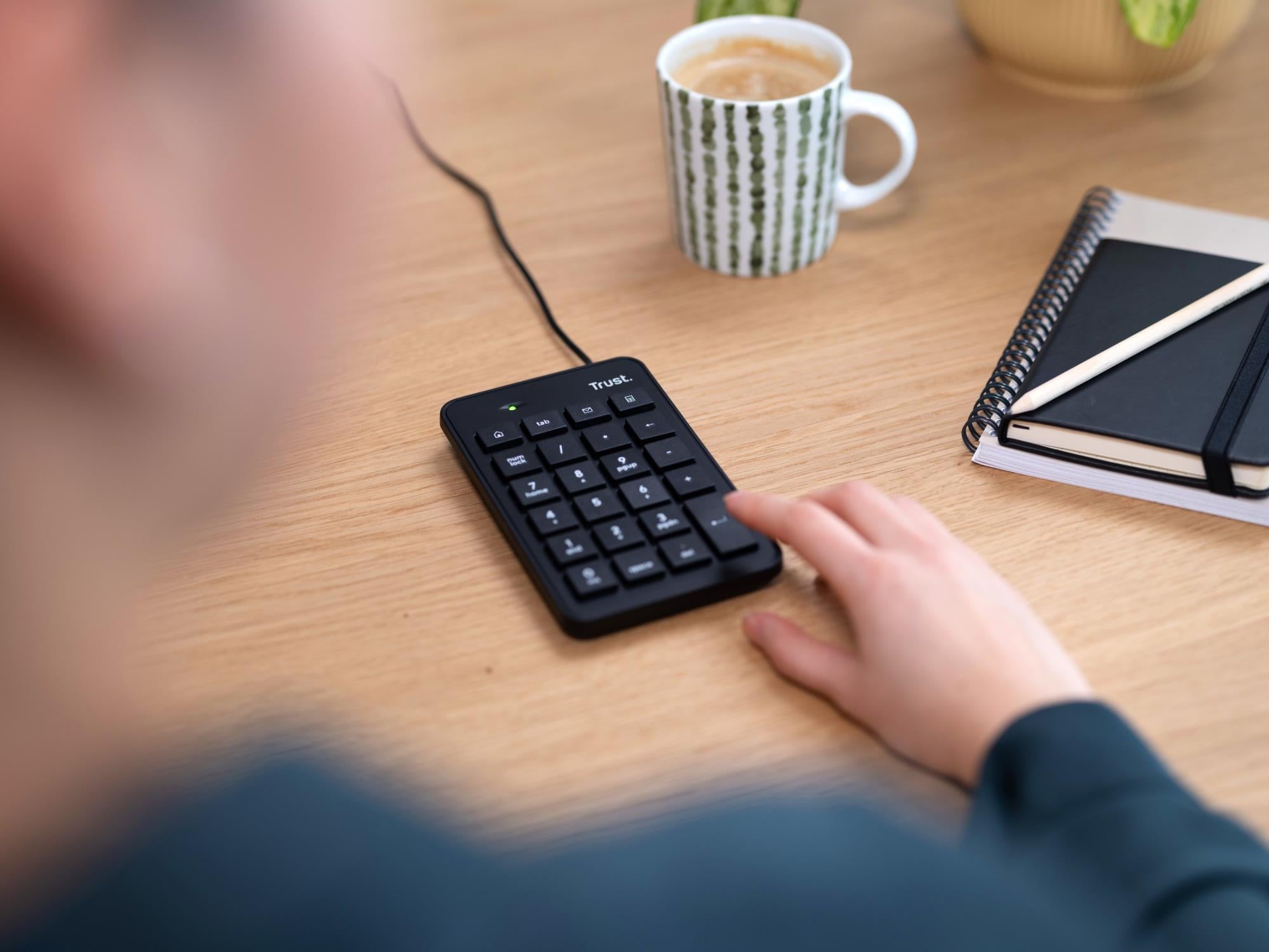 KEYBOARD NUMERIC XALAS/22221 TRUST