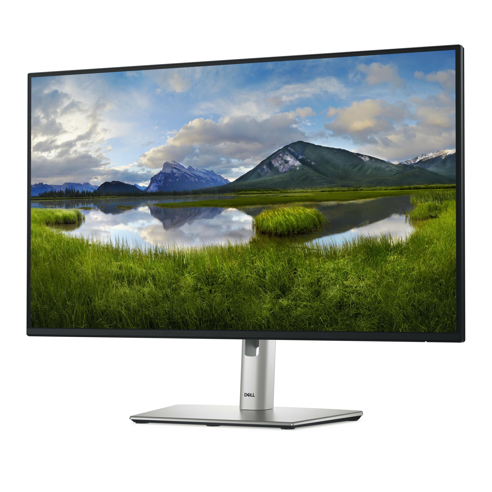 LCD Monitor DELL P2725H 27" Business Panel IPS 1920x1080 16:9 100Hz Matte 8 ms Swivel Pivot Height adjustable Tilt 210-BMGC